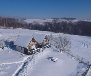 Apartamenty Żywiec Żywiec